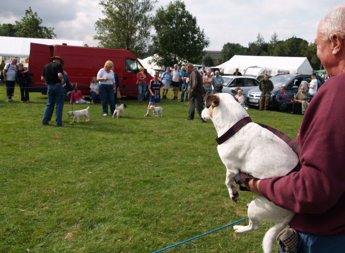 18. 'Dog judging', Castleton Village Show, North Yorkshire, September, 2007