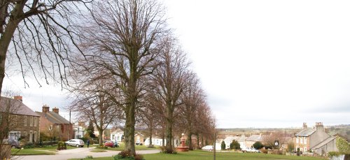 A line of lime trees runs down the village green of Dufton.