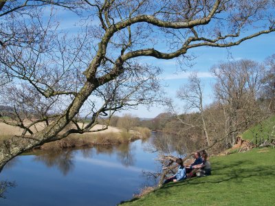 Just at Daleraven Bridge you turn left to walk along the eastern banks of the beautiful River Eden.
