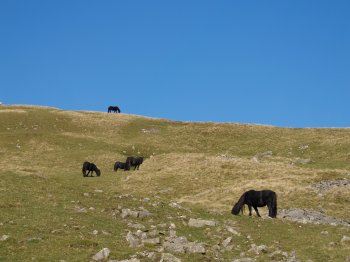  - High Cup Nick walk, Cumbria, Northern England