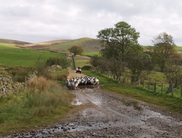  - High Cup Nick walk, Cumbria, Northern England