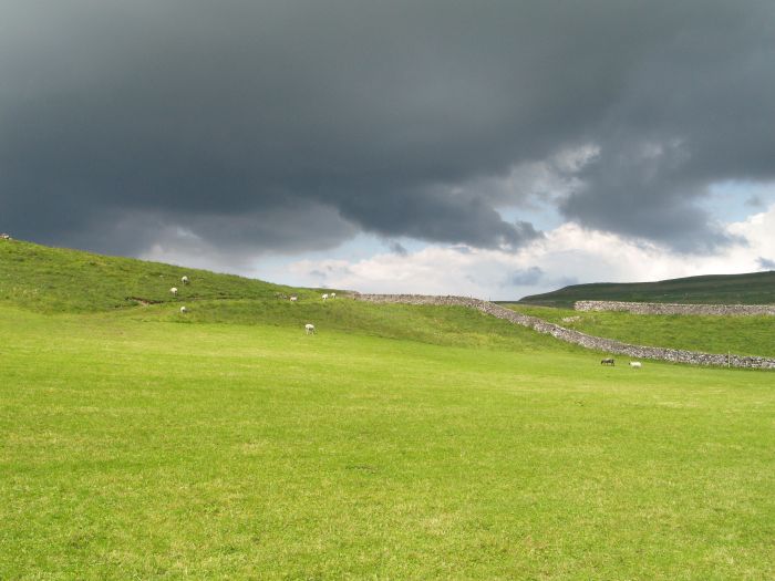 Wharfedale Walking