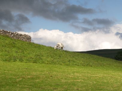 Wharfedale Walking