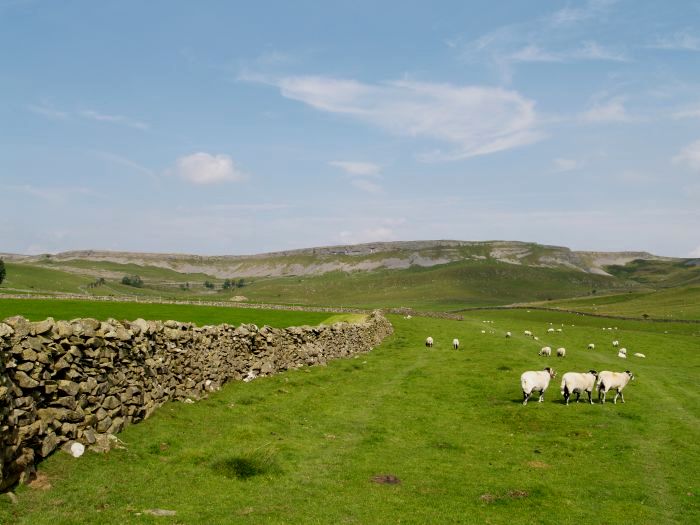 Crummack Dale Austwick Walk