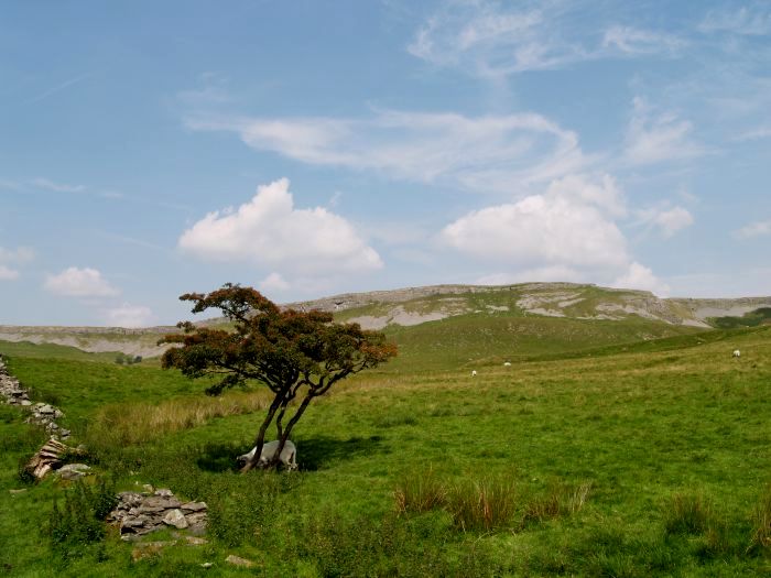 Crummack Dale Austwick Walk