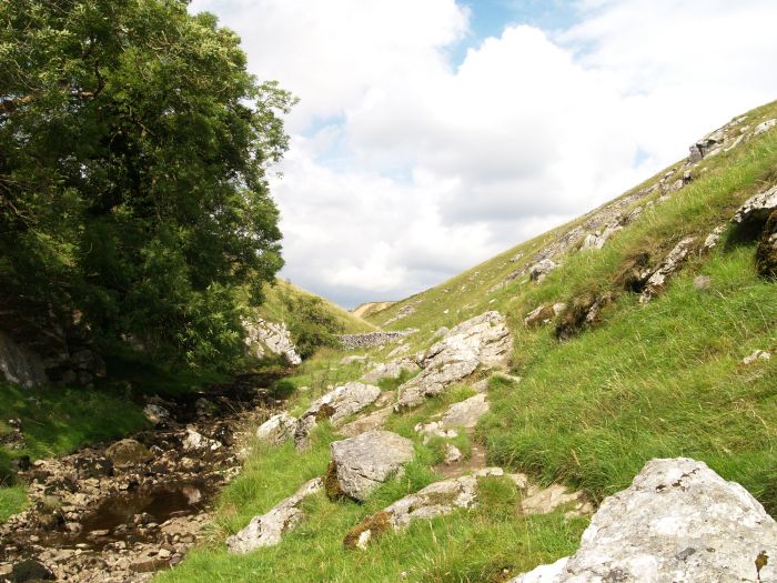 Trollers Gill Walk