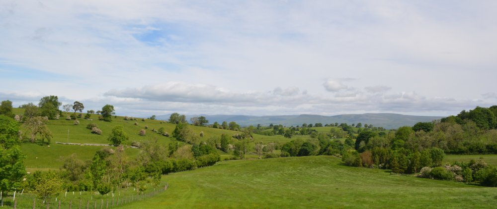 Looking north from near Smardale Village Newbiggin-on-Lune Smardale Nature Reserve Walk, Cumbria, England