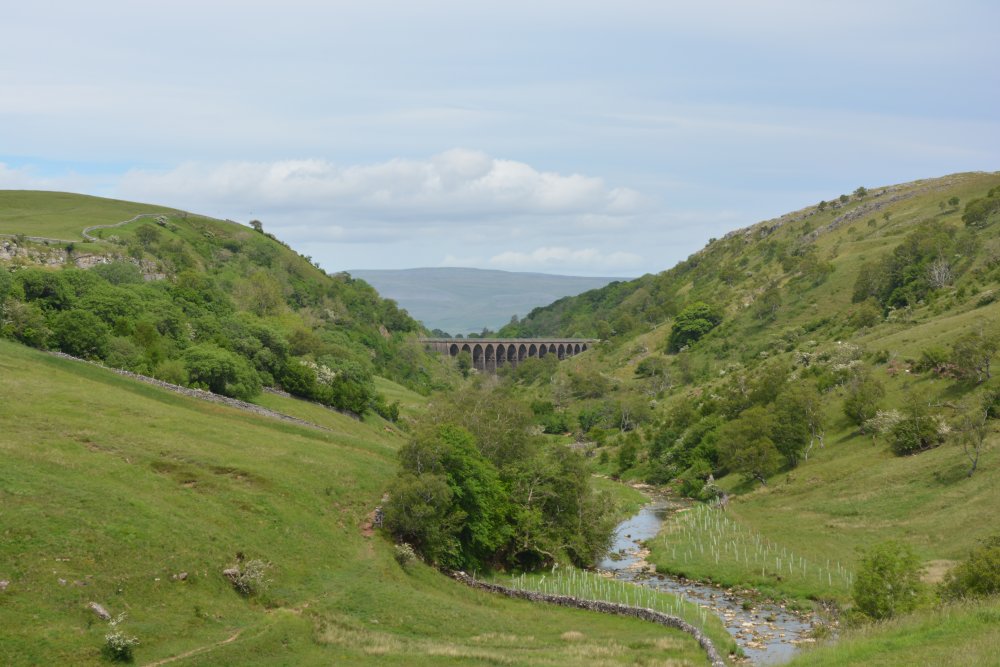 Distant view along Smardale Gill to the railway viaduct Newbiggin-on-Lune Smardale Nature Reserve Walk, Cumbria, England