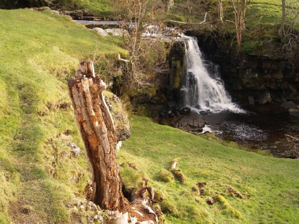 Walking in Swaledale, Muker-Keld, Yorkshire Dales National Park, North Yorkshire, Northern England