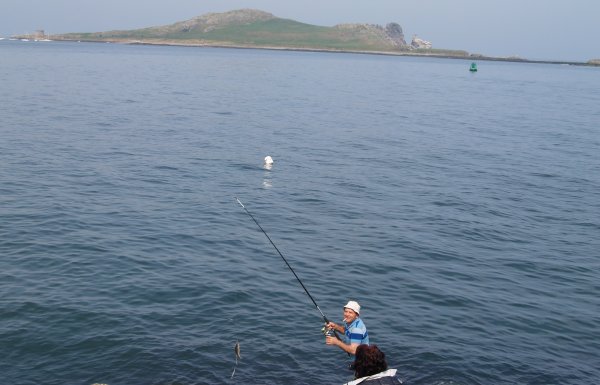 Howth to Sutton Cliff Walk