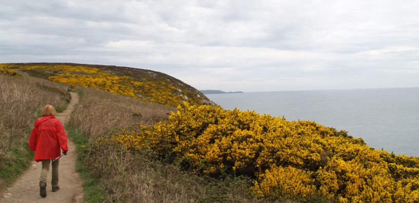 Howth to Sutton Cliff Walk, Co. Dubin, Ireland
