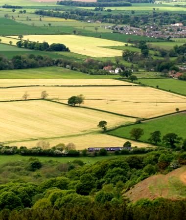 Looking down from the Captain Cook monument on Easby Moor as the two coach dmu train passes Great Ayton