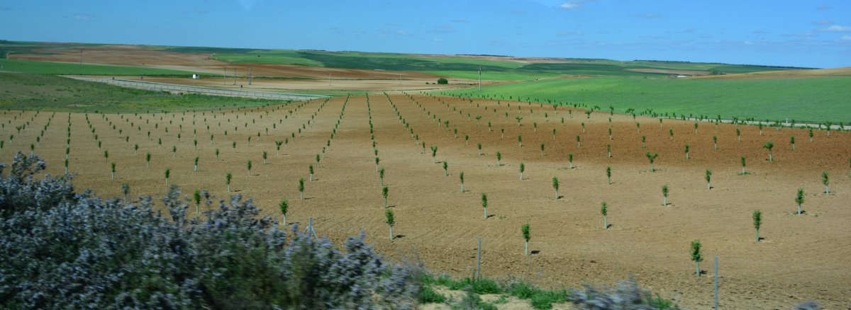 Rural scenery on the coach journey from Burgos to Salamanca, much irrigation needed Spain