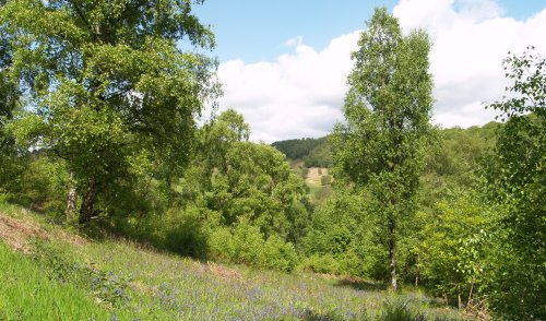 Views at the north end of Riccal Dale.