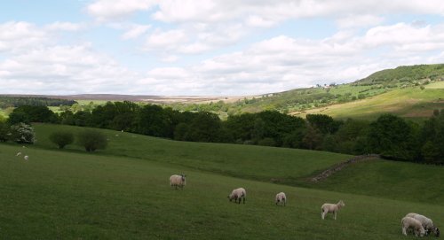 Bransdale in the far distance.