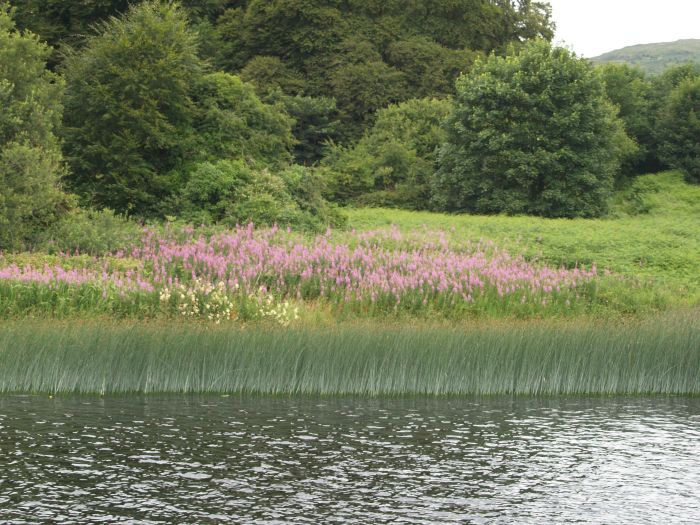 River Shannon, Lough Derg