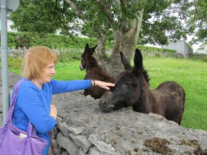 New Quay, Church, ruined Castle, The Burren, Co. Clare