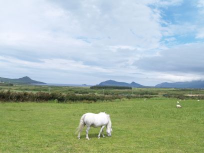 Ballyferriter