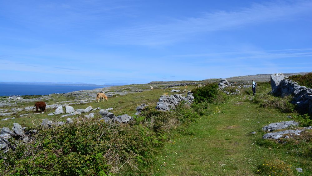 Black Head Loop Walk, Fanore, The Burren