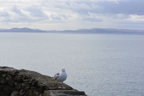 Slea Head Drive - Wild Atlantic Way