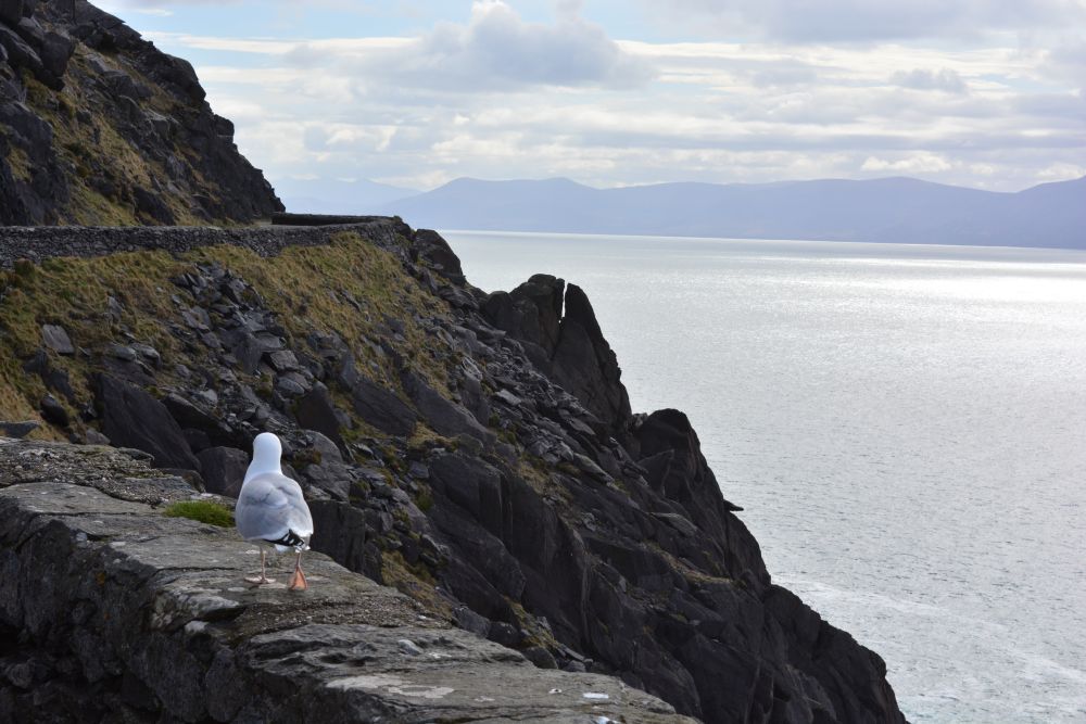 Slea Head Drive - Wild Atlantic Way