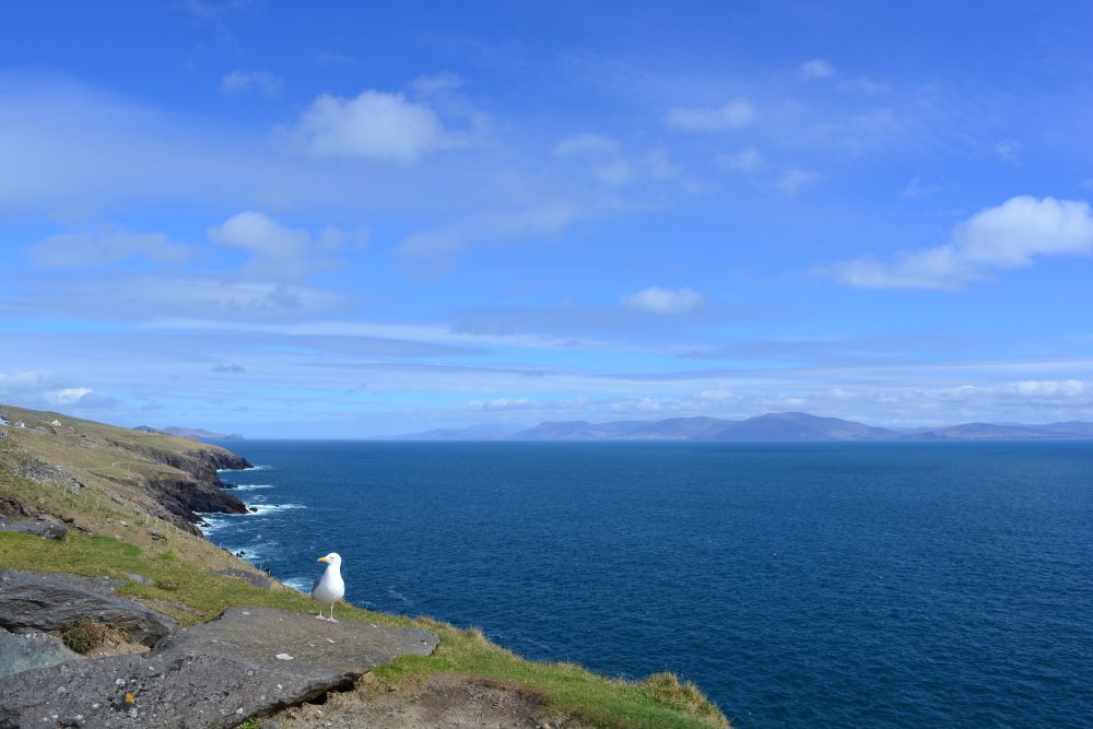 Slea Head Drive - Wild Atlantic Way