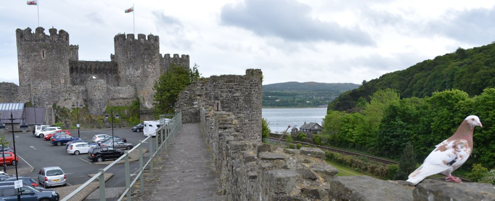 Castell Conwy Castle, North Wales (Conway Castle)