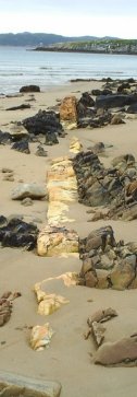 quartz layer cutting through the beach.