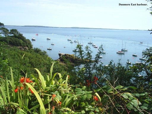 Looking out over the River Suir estuary and an anchorage for the many yachts.