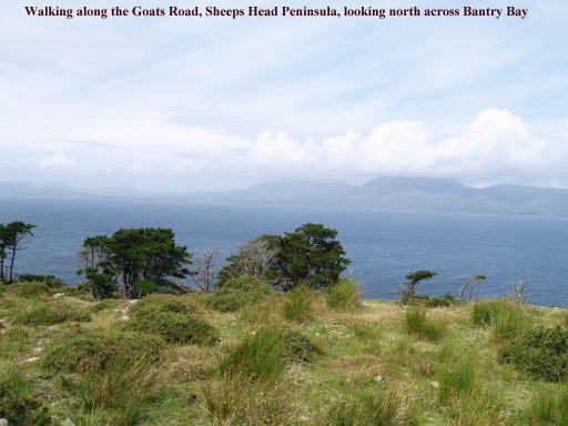 Looking across Bantry Bay to the Beara Peninsular from the Goats Road on the Sheep's Head Peninsula.