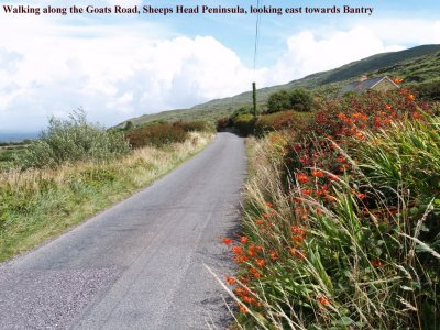 The Goats Road