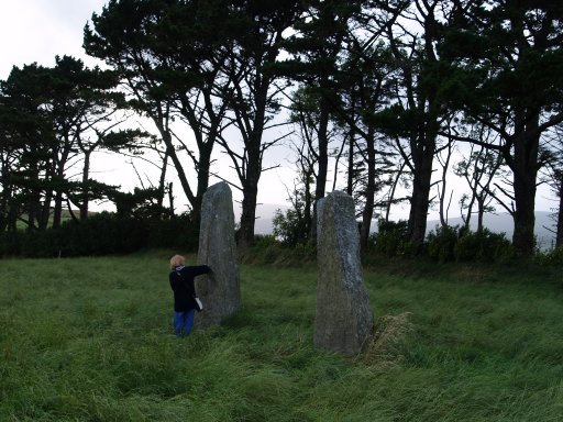 The two remaining prehistoric standing stones of Coolcoulaghta, 2 miles south of Durrus
