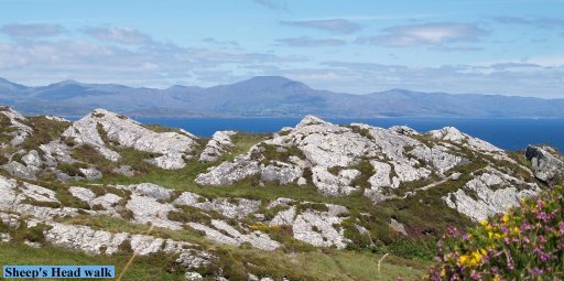 Looking across to the Beara Peninsula and Hungry Hill (distant centre)