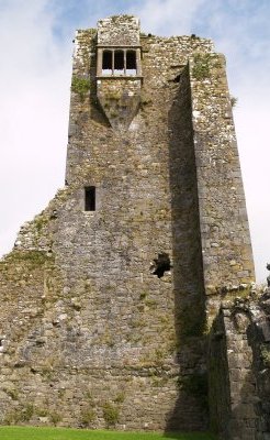 Granagh (Granny) Castle, Kilkenny, Ireland