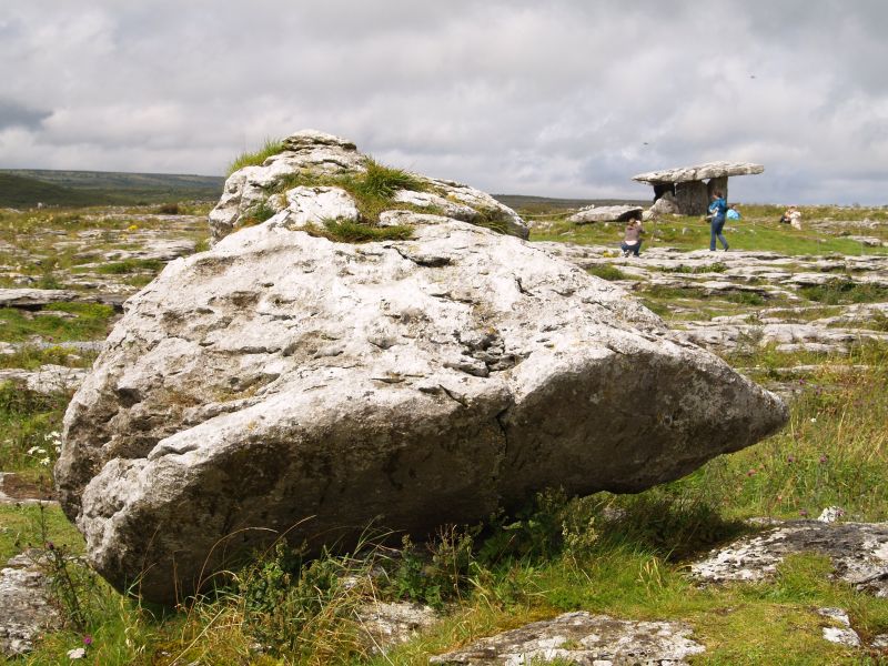 Glacial erratic - Car drive from Kilfenora to Ballyvaughan, The Burren, County Clare, West of Ireland