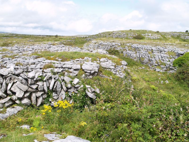 Typical landscape of the limestone pavements of the Burren - Car drive from Kilfenora to Ballyvaughan, The Burren, County Clare, West of Ireland