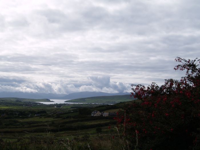 Eventually you look down on Dingle Harbour .... - Dingle Peninsular, Co. Kerry, West of Ireland