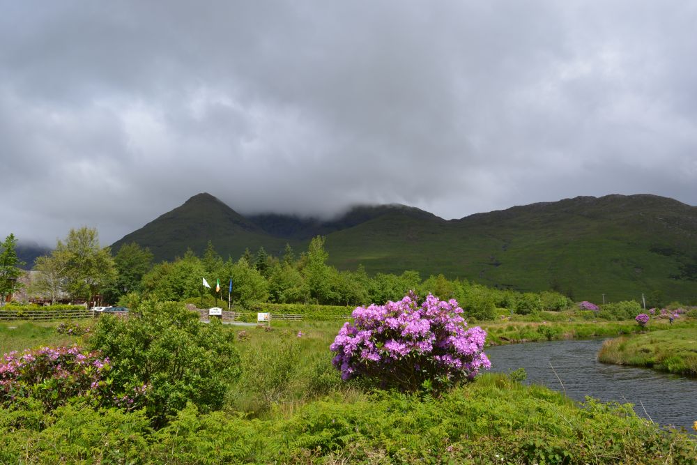 Killary Harbour Fjord Killary Harbour Fjord