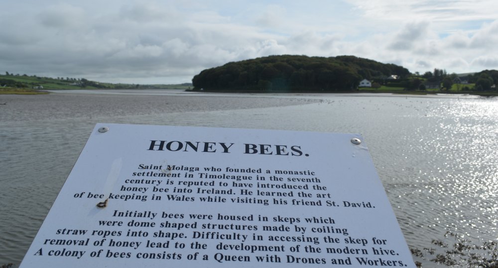 The tale of the honey bees and Timoleague Friary, Co. Cork, West of Ireland
