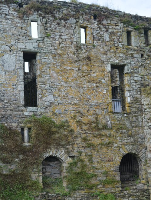 Timoleague Friary, Co. Cork, West of Ireland