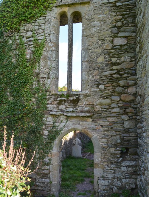 Timoleague to Courtmacsherry estuary nature walk Co. Cork West of Ireland