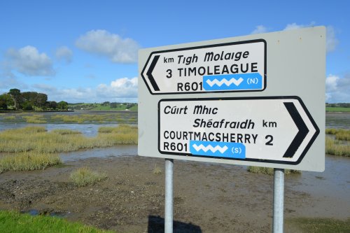 Timoleague to Courtmacsherry estuary nature walk Co. Cork West of Ireland