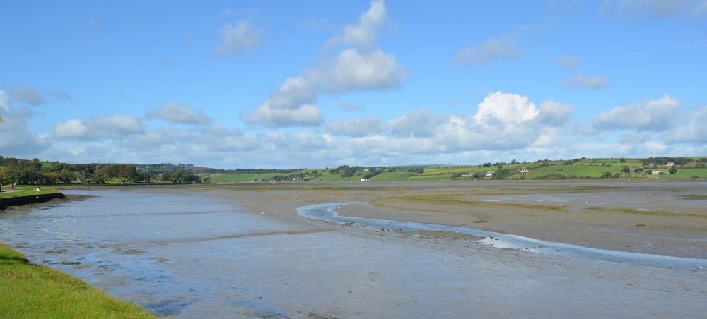 Timoleague to Courtmacsherry estuary nature walk Co. Cork West of Ireland