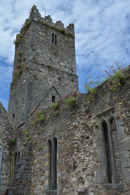 tower of the Church of the Greyfriars, Waterford, Ireland