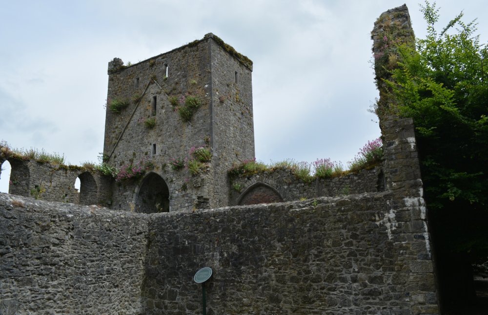 ruins of Saint Dominic's Friary Cashel, Tipperary, historic Ireland