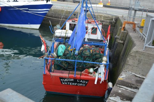 The boat Tudor Lady, Waterford registered, a small fishing vessel for catching crabs and lobsters, Dunmore East harbour Co. Waterford harbour Ireland