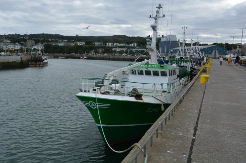 Fishing vessel trawler BCK364 CONQUEST docked in Howth harbour, Co. Dublin, Ireland