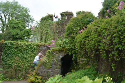 Lismore Castle Gardens