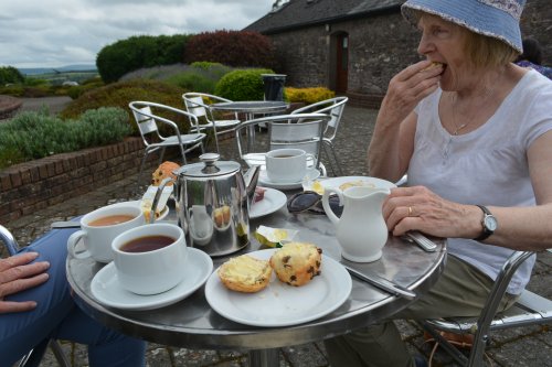 You can get snacks at the cafe in Mount Melleray