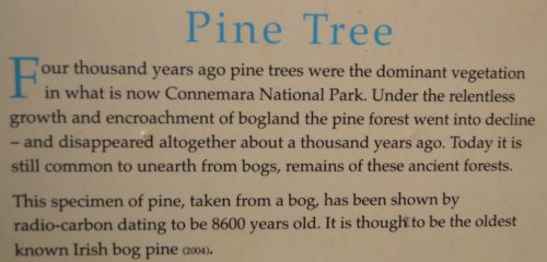  Connemra National Park Centre, Co. Galway, Ireland
